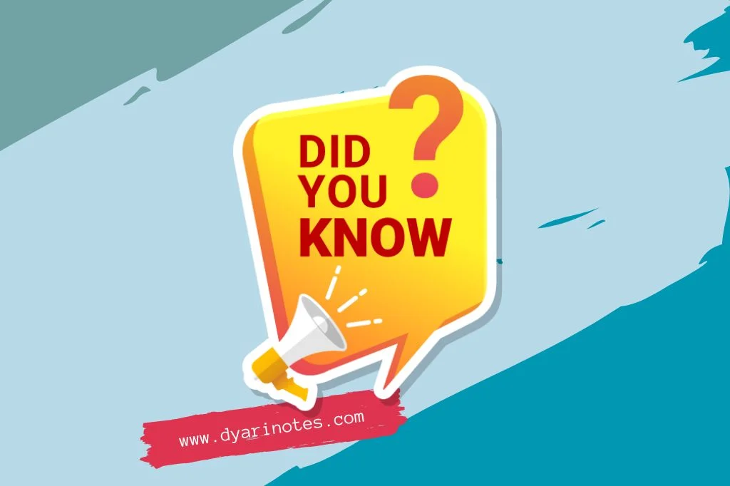 Read more about the article Warnamu: Lebih dari Sekadar Hidupnya Hitam dan Putih