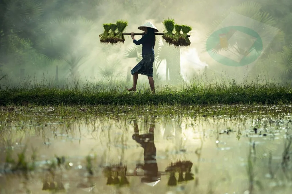 Read more about the article Status menjadi Penentu: Kisah Dibalik Mandi Lumpur