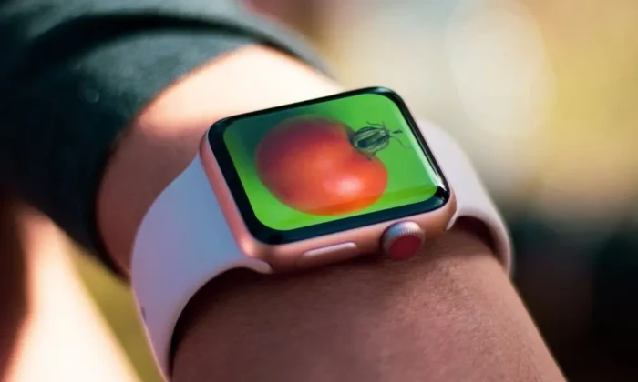 Pomodoro: Upgrade Dirimu Jadi Versi Terbaik