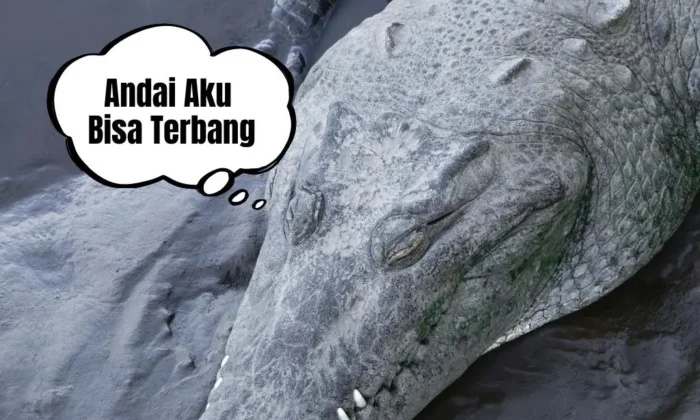 Buaya dan Mimpi Besar: Aku Ingin Terbang