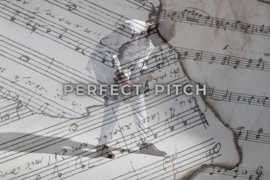 You are currently viewing Perfect Pitch: Lebih dari Sekadar Mendengar, Ini Telinga Emas
