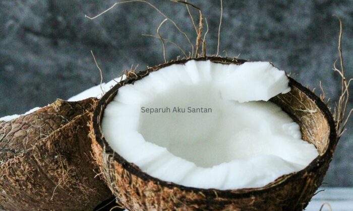 Separuh Aku Santan: Ini Rasa Indonesia Banget!