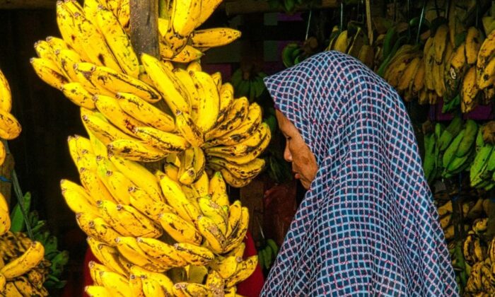 Jam Sehat Makan Buah: Waktu Tepat Mencari Manfaat Maksimal