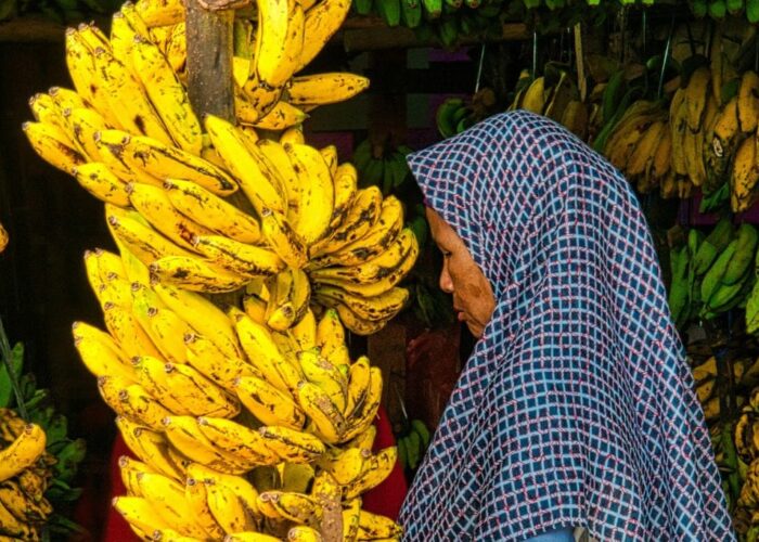 Jam Sehat Makan Buah: Waktu Tepat Mencari Manfaat Maksimal