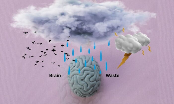 Kita Banyak Mengalami Brain Waste. Maksudnya Kita Itu Siapa?