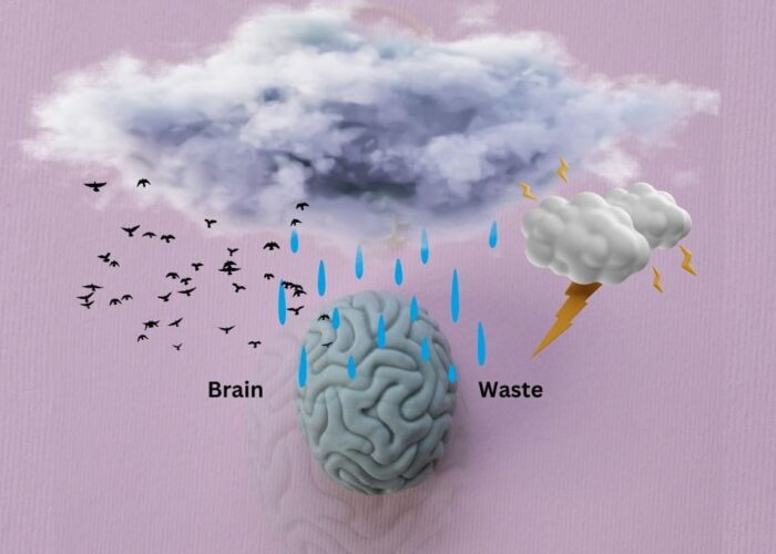 Kita Banyak Mengalami Brain Waste. Maksudnya Kita Itu Siapa?