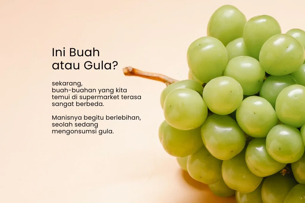 Read more about the article Sugar Spike dari Buah Era Now: Manisnya Sekarang Berubah Yaa