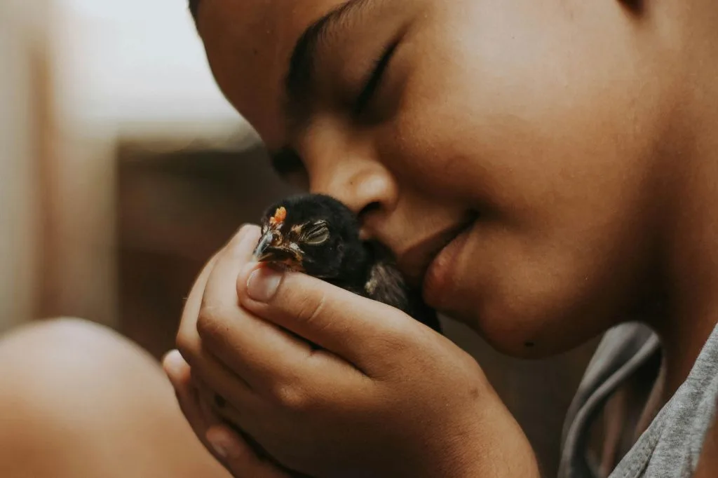 Read more about the article Indonesia Sedang Tidak Baik-Baik Saja. Apa Mau Masyarakat?