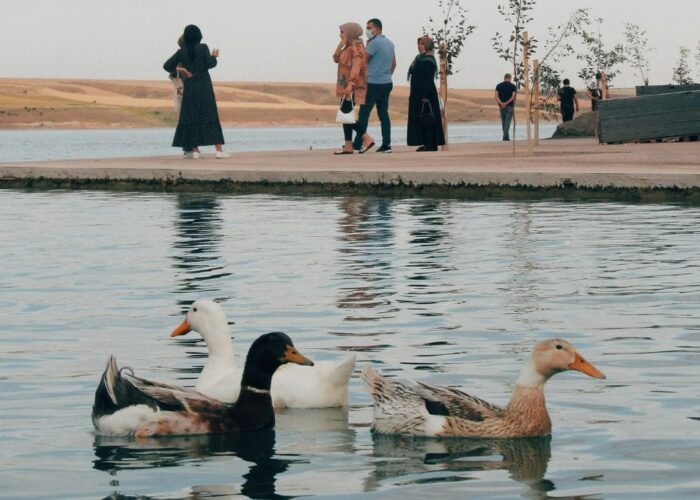 Duck Syndrome: Di Balik ‘Perfect Life’, Ada ‘Real Stress’ Sembunyi