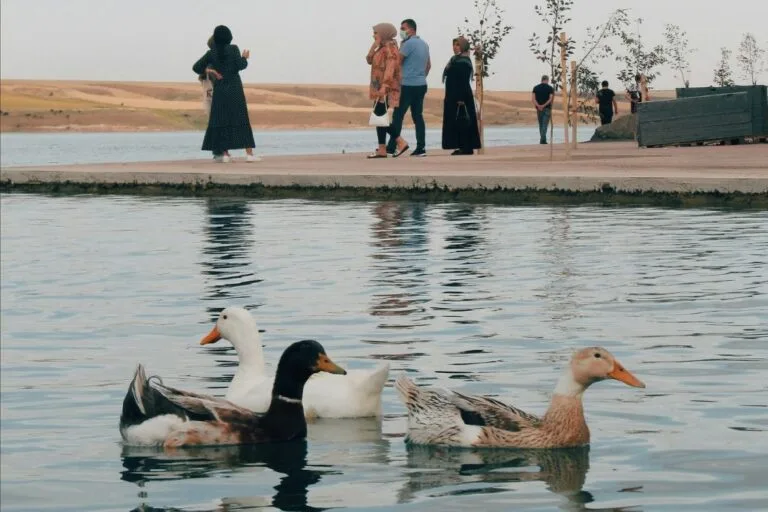 Duck Syndrome: Di Balik ‘Perfect Life’, Ada ‘Real Stress’ Sembunyi