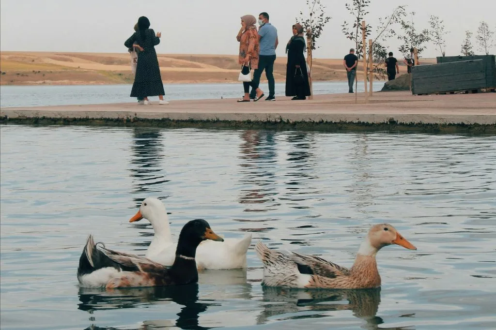 Read more about the article Duck Syndrome: Di Balik ‘Perfect Life’, Ada ‘Real Stress’ Sembunyi