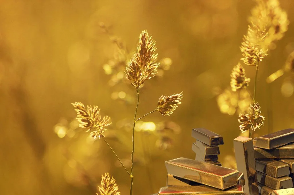 Read more about the article Solusinya Golden Money! Saat Fiat Makin “Boncos”