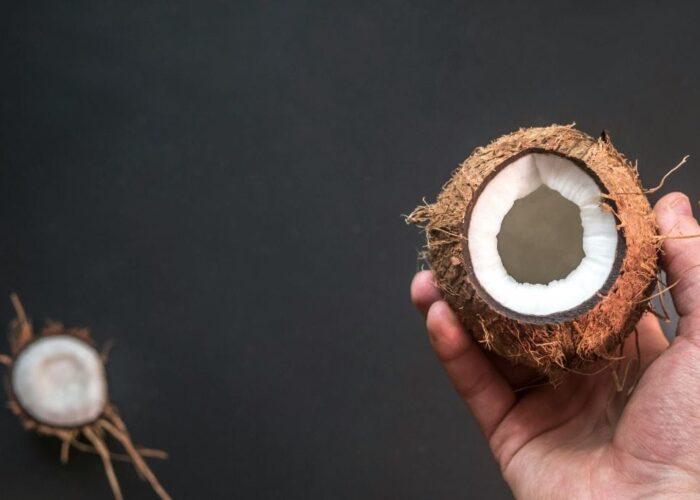 Ada Apa dengan Kepala? ❎, Ada Apa dengan Kelapa? ✅