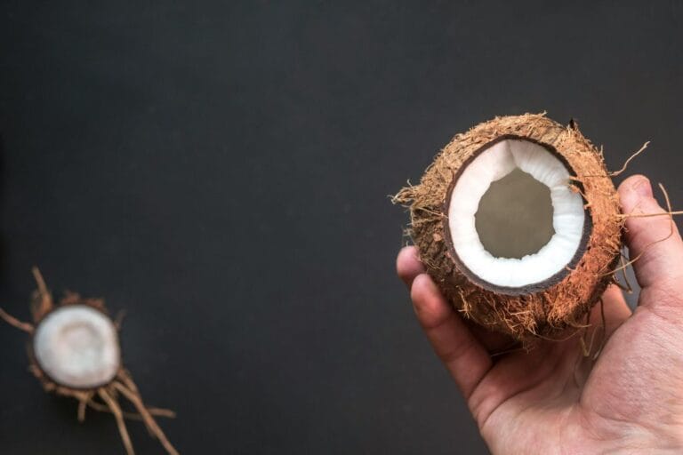 Ada Apa dengan Kepala? ❎, Ada Apa dengan Kelapa? ✅