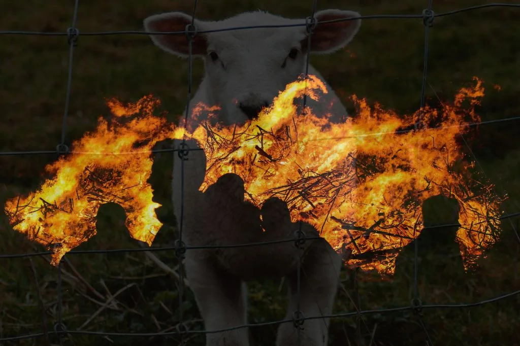 Read more about the article Blind Obedience: Ketika ‘Bodoh’ Itu Nyata. Sheeple?