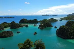 Save Raja Ampat: Saatnya “All In” untuk Konservasi Bahari!