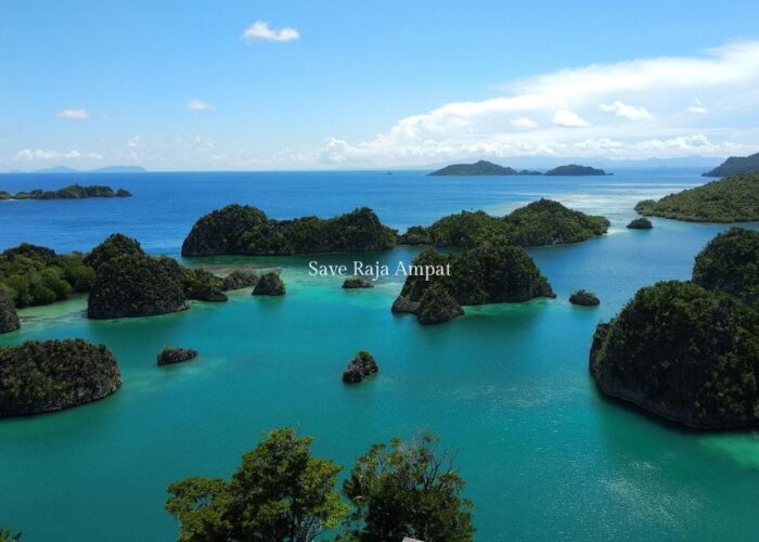 Save Raja Ampat: Saatnya “All In” untuk Konservasi Bahari!