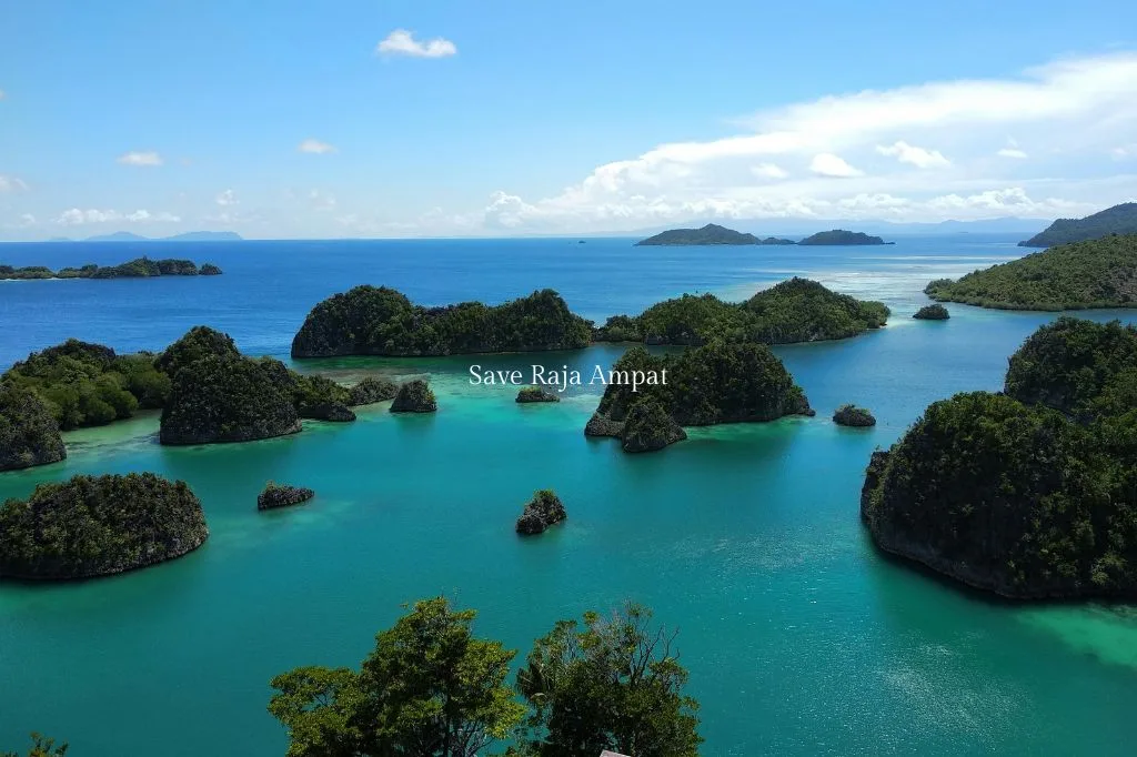 Read more about the article Save Raja Ampat: Saatnya “All In” untuk Konservasi Bahari!
